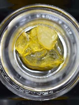 Mimosa Punch Live Diamond Sauce