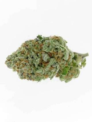 Alien OG Marijuana Strain