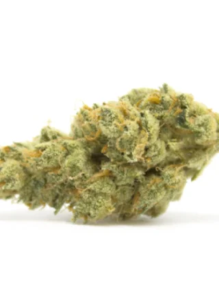 Alien OG Marijuana Strain