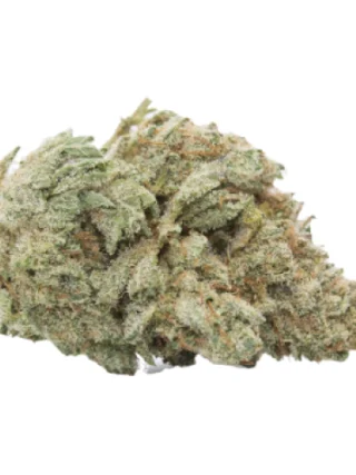 Amnesia Haze Marijuana Strain