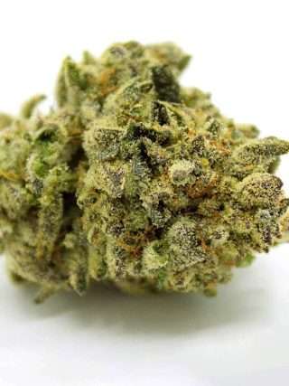 Animal Mints Marijuana Strain