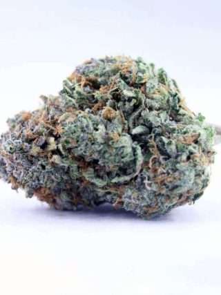 Apple Jack Cannabis Strain