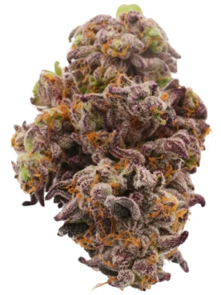 Bacio Gelato Marijuana Strain