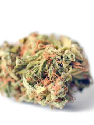 Bio-Jesus Cannabis Strain