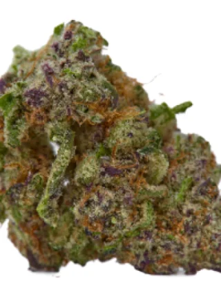 Blissful Wizard Marijuana Strain