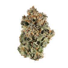 Buy Blue Cookies Weed Strain