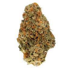 Buy Jackson's Jambo Marijuana Strain