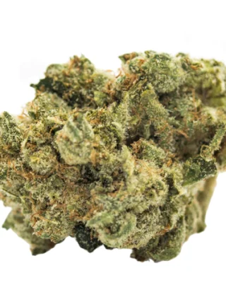 Buy Samoa Marijuana Strain