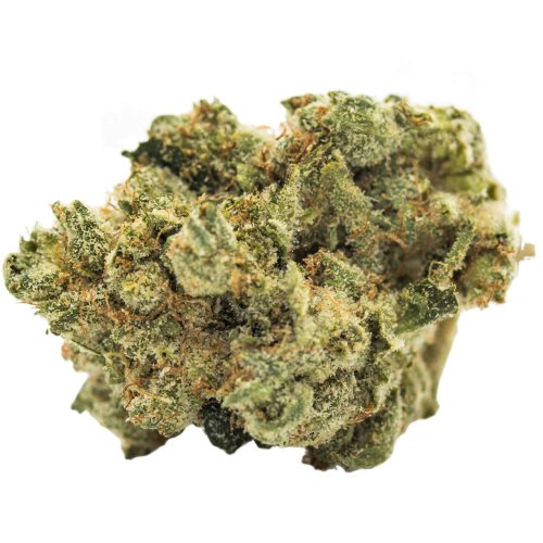 Buy Samoa Marijuana Strain