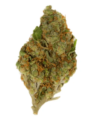 Calm 101 Marijuana Strain