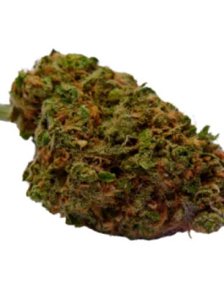 Cannatonic Marijuana Strain
