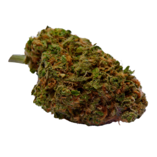 Cannatonic Marijuana Strain