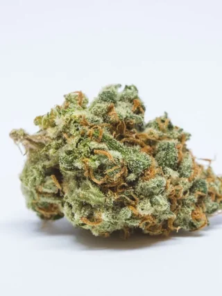 Casey Jones Weed Strain