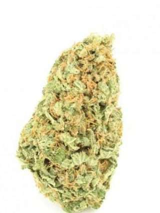 Cheese Marijuana Strain