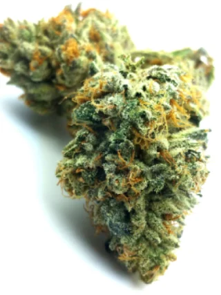 Chemdawg #4 Weed Strain