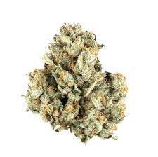 Columbian Gold Weed Strain