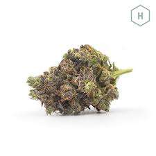 Jedi Kush Cannabis Strain