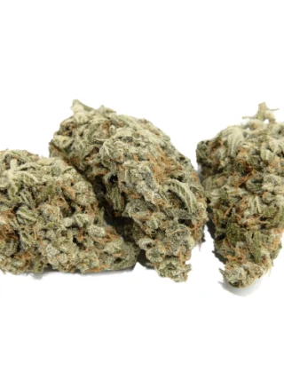 Jenny Kush Cannabis Strain