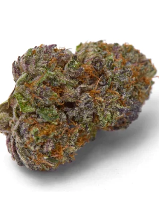 Jungle Cake Marijuana Strain