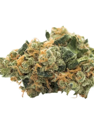 Kashmir Kush Weed Strain