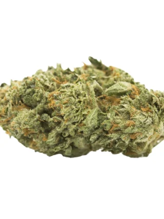Magna Rosa Cannabis Strain