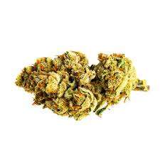 Mango Haze Marijuana Strain