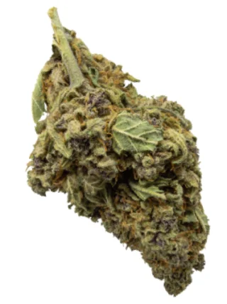 Skywalker Marijuana Strain