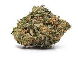 Snoop's Dream Cannabis Strain