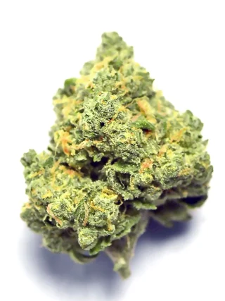 Sour Banana Sherbet Weed Strain