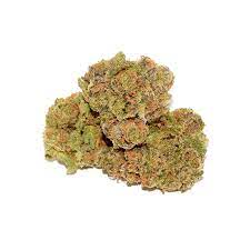 Sour OG Marijuana Strain