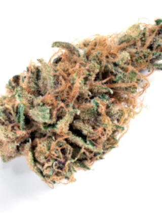 Sour Tangie Cannabis Strain