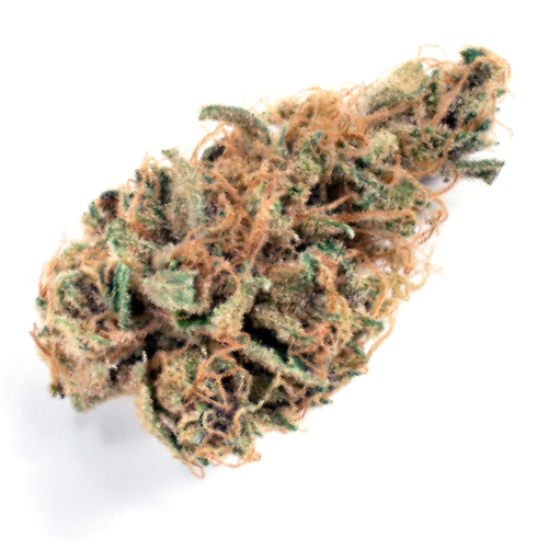Sour Tangie Cannabis Strain