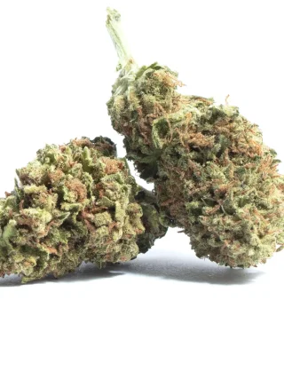 Strawberry Diesel Marijuana Strain