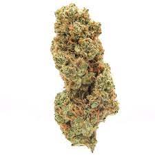 Tangerine Sunrise Marijuana Strain