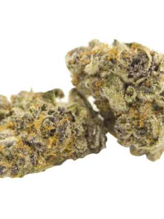 Thai Stick Weed Strain