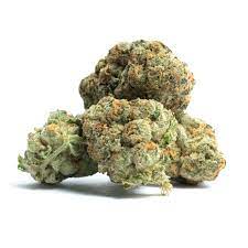 Thin Mint Girl Scout Cookies Marijuana Strain