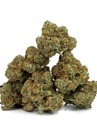 Zookies Marijuana Strain
