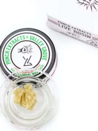 Buy Punch - Live Rosin - Willy Diesel