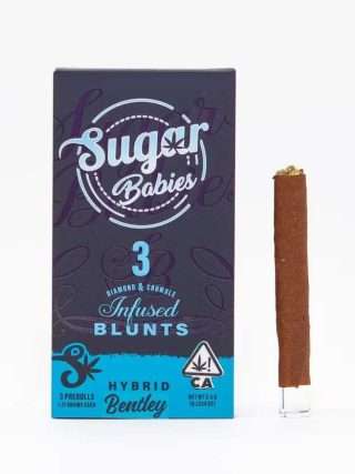 Buy Sugar Babies 3pk Bentley Hybrid Infused Blunts 3.5G