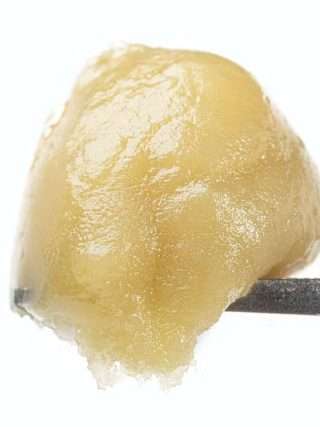 Papaya Live Rosin Europe