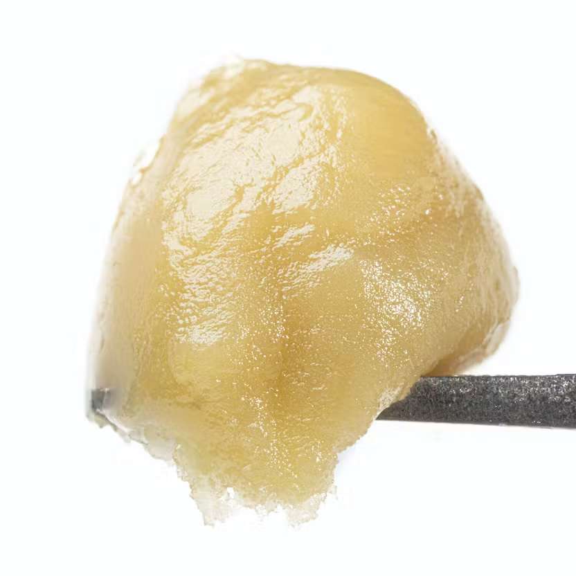 Papaya Live Rosin Europe